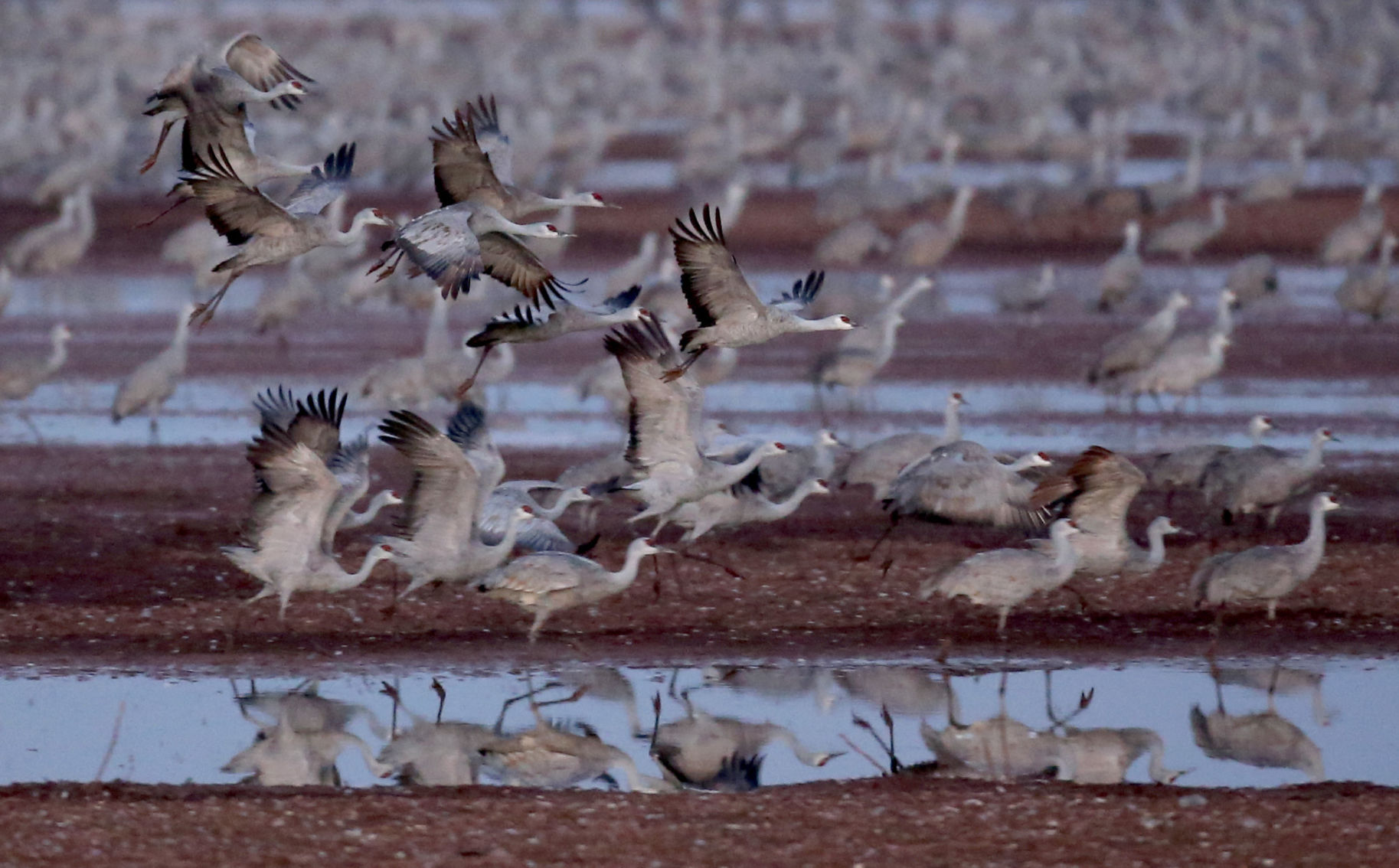 2018 Wings over Willcox